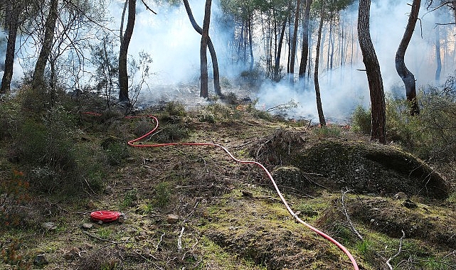 Kemer Belediyesi yangına karşı seferber oldu