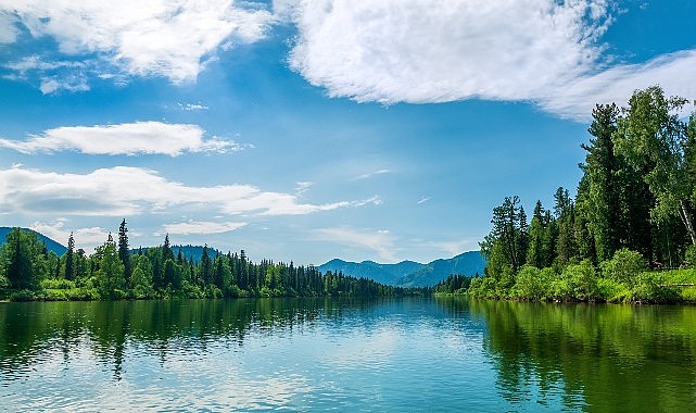 TEMA Vakfı: Ormanları ve su varlıklarını korumak artık bir tercih değil, zorunluluk