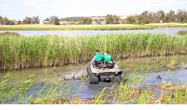 Aliağa Belediyesi’nden Haşerelere Karşı Yoğun Mücadele