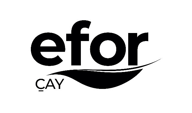 Yatırımcı Güveniyle Yükselen Marka: Efor Çay Gücünü Tescilledi