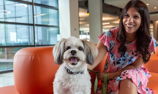 Evcil Hayvanlar İçin Açılan Kapılar, İş Dünyasında Bambaşka Bir Dönüşümü Beraberinde Getiriyor