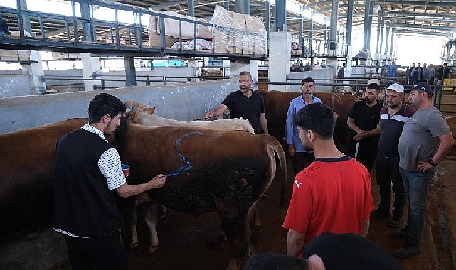 İnegöl Modern Hayvan Pazarı Beşinci Kez Bayram Sevinci Yaşattı