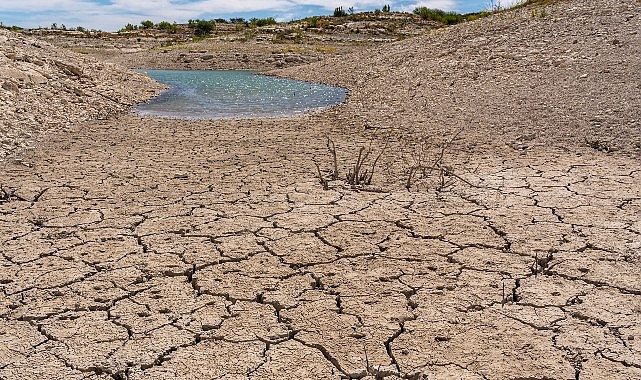 TEMA Vakfı: Toprağı İyileştirmek, Doğayı ve Geleceği Korumaktır