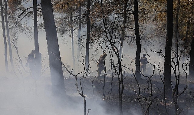 İBB’den Bursa’daki orman yangınına acil destek