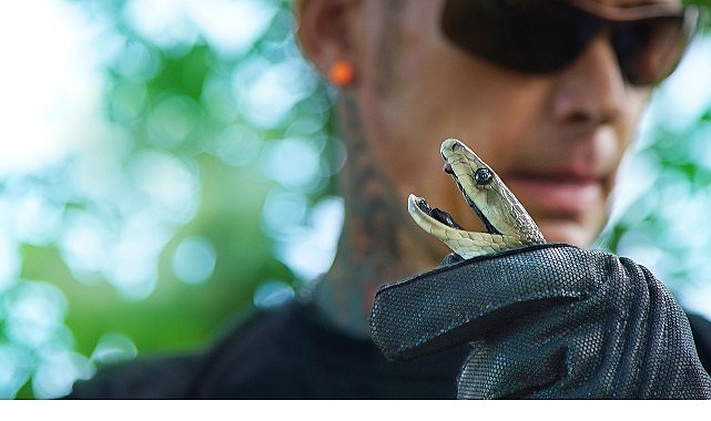 ‘Şehirdeki Yılanlar: Zehrin Ötesi’, 11 Temmuz Cuma 20.00’de National Geographic WILD Ekranlarında!