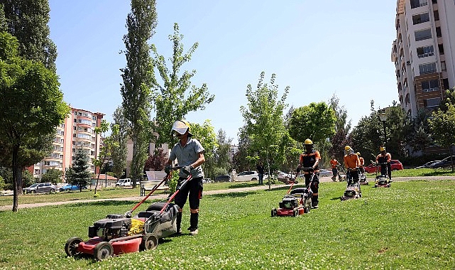 Çankaya parklarında çimler biçme ve ot temizleme mesaisi