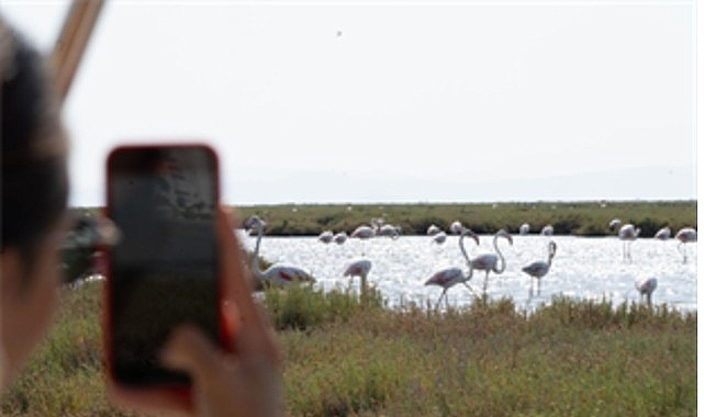 Flamingo Yolu turları başladı