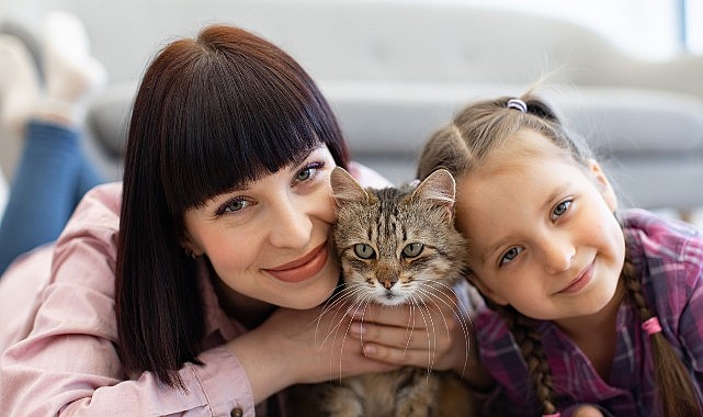 Kedilerin Hayatımıza Katkıları Sadece Sevgiyle Sınırlı Değil