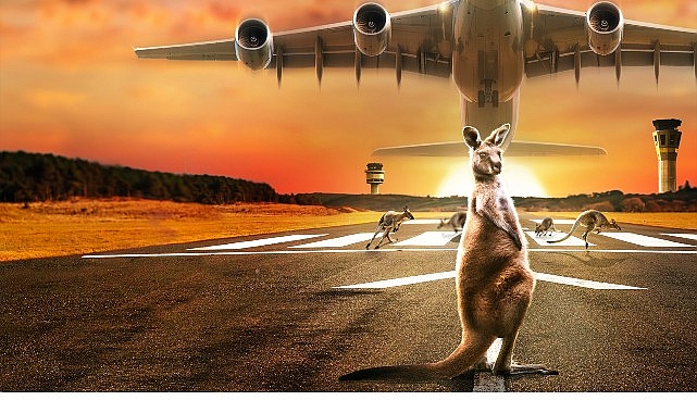 10 Bölümlük Seri ‘Inside: Melbourne Havalimanı’, 22 Eylül Pazartesi 22.00’de National Geographic Ekranlarında Başlıyor!