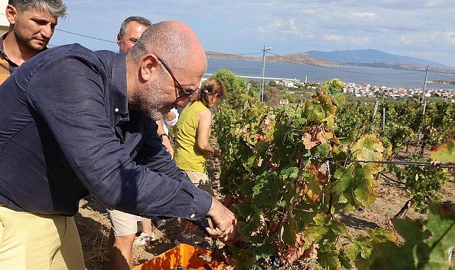 6–7 Eylül’de Bir Başkadır Avşa Etkinliği’nin Programı Açıklandı