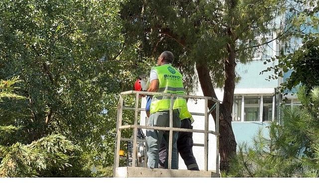 Bakırköy Belediyesi Ekipleri Kurtardı