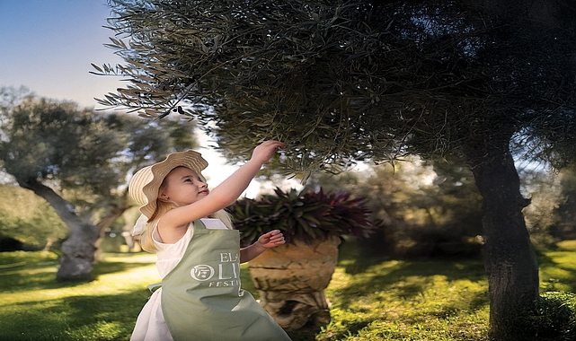 Ela Excellence Resort Belek’te Zeytin Ağaçlarının Gölgesinde Unutulmaz Bir Yolculuk