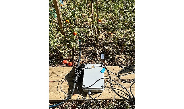BİLGİ’li öğrencilerden sürdürülebilir tarıma katkı: Elektronik Kontrollü Damla Sulama Sistemi