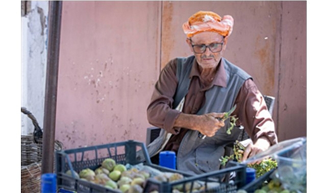 Beydağ incirinin katma değeri artıyor
