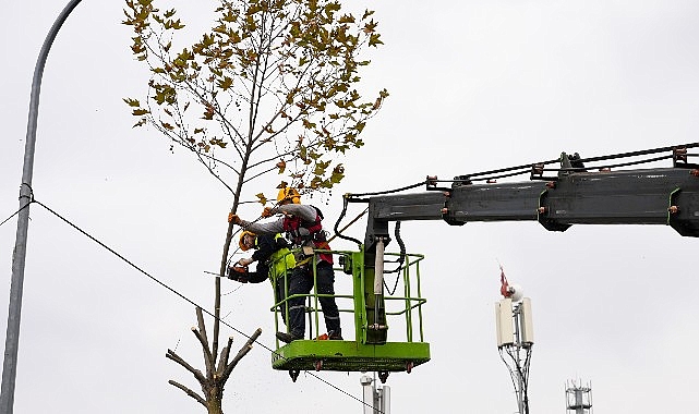 Maltepe’de budama zamanı
