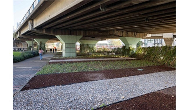 80 futbol sahası büyüklüğündeki alanda dönüşüm tamam