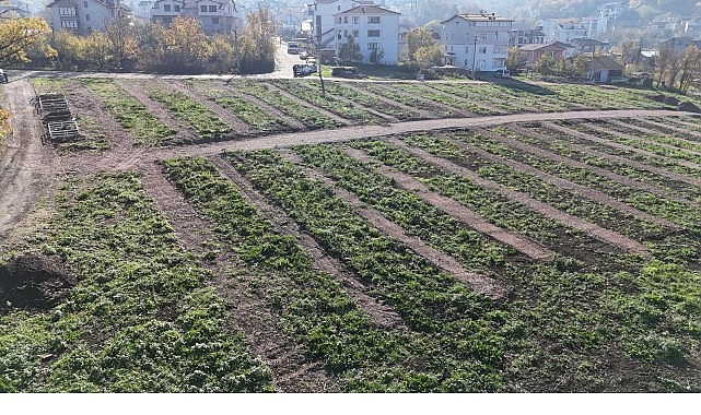 Büyükşehir’den Gölcük’e yeni mezarlık alanları