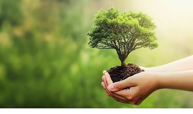 Fuzul’den 2025 çalışanı adına Çanakkale ve Şanlıurfa’ya 2025 fidan bağışı